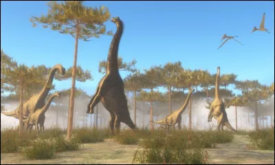 Combien de m&egrave;tres fait le cou du brachiosaure ?