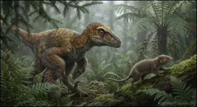 O&ugrave; a &eacute;t&eacute; trouv&eacute; le premier fossile de variraptor ?