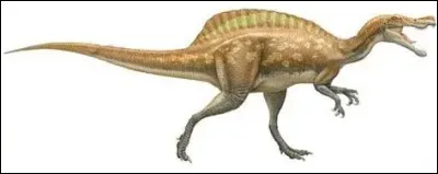 Donnez l'ann&eacute;e pr&eacute;cise de la d&eacute;couverte de l'irritator.