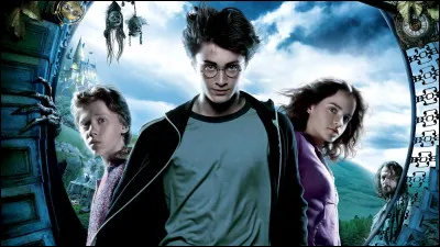 Qui est dans la s&eacute;rie ''Harry Potter'' ?
