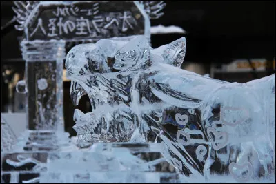 Dans quel pays se situe Sapporo ?