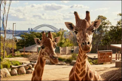 Quel zoo tr&egrave;s populaire de Sydney offre une vue magnifique sur la baie depuis ses sentiers ?