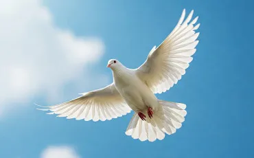 Quiz Culture générale