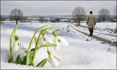 Quel est cet acteur qui emprunte ce chemin ?