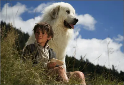 Quel est le nom de la chienne de montagne, amie de S&eacute;bastien, duo de h&eacute;ros dans une s&eacute;rie t&eacute;l&eacute;vis&eacute;e qui porte leurs noms ?