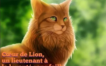 Quiz Test de personnalité