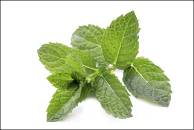 Si tu te fais manger par une menthe, que fais-tu ?