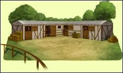 Aprs combien de jours et de galops peut-on avoir un centre questre ?