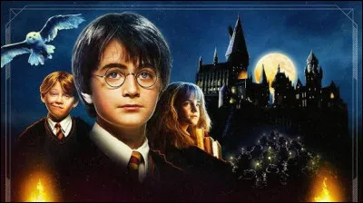Quelles sont les valeurs de la maison de Harry Potter ?