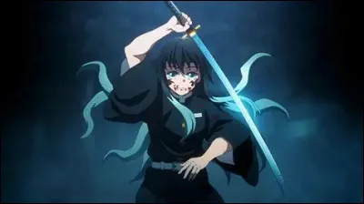 Muichiro a un fr&egrave;re jumeau.