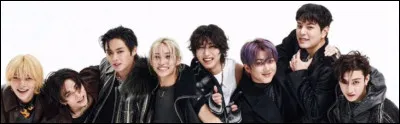 Les Stray Kids ont fait leurs d&eacute;buts officiels en 2018.