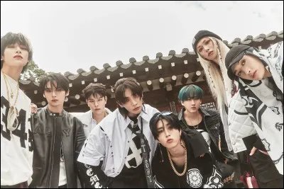 Le diminutif de "Stray Kids" est Stays.