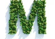 Quiz Géographie en M