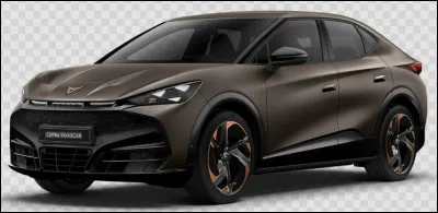 Quel constructeur produit cette automobile ?