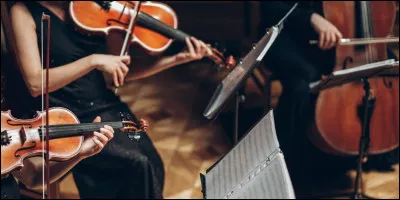 Quelle est la particularit&eacute; de la s&eacute;r&eacute;nade n&deg; 13, universellement connue sous le nom de&laquo;&nbsp;Une petite musique de nuit&nbsp;&raquo; ?