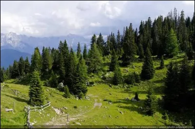 Quel r&ocirc;le joue la dynastie des Habsbourg dans l'identit&eacute; autrichienne ?