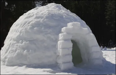 Quel est le nom de cette habitation en forme de d&ocirc;me, construite &agrave; partir de blocs de neige compacte ?