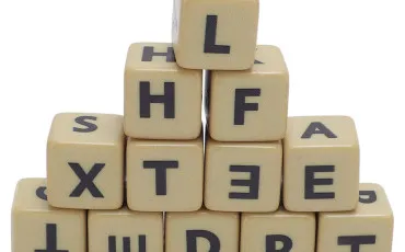 Quiz Vocabulaire