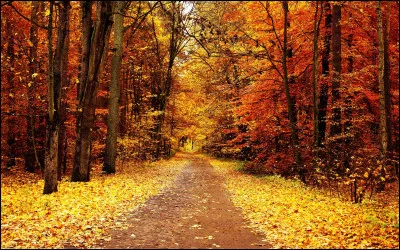 Qui a chant&eacute; : "Je t'offrirai des fleurs de nappes en couleurs Pour ne pas qu'octobre nous prenne" ?