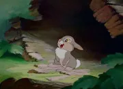 Quiz Animaux de fiction - Les lapins (2/2)