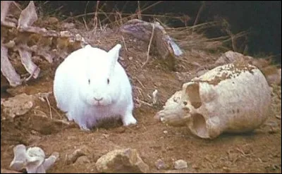 Dans quel film des Monty Python peut-on voir un lapin apparemment inoffensif se r&eacute;v&eacute;ler &ecirc;tre le redoutable gardien de la caverne de Caerbannog ?