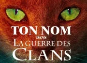 Test Créer ton chat - Partie III : Ton nom