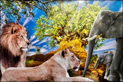 Quel animal aimes-tu le plus ?