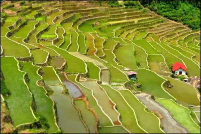 Petit tour dans ce magnifique pays d&rsquo;Asie du Sud-Est, les Philippines. O&ugrave; se trouvent ces rizi&egrave;res ?