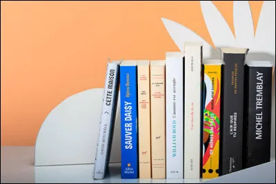 En litt&eacute;rature, comment appelle-t-on une strophe compos&eacute;e de quatre vers ?