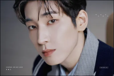 Quel &acirc;ge a Wonwoo (SEVENTEEN) ?