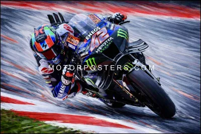 &Aacute;lex Rins a remport&eacute; le Grand Prix des Am&eacute;riques 2019 avec Suzuki.