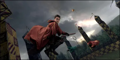 Quel r&ocirc;le a Harry au quidditch ?