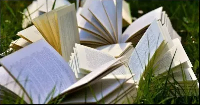 Compl&eacute;tez le titre de ce livre de Marcel Pagnol : "Le Ch&acirc;teau de ma ..." :