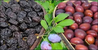 Quelle ville du Lot-et-Garonne est r&eacute;put&eacute;e pour ses pruneaux ?