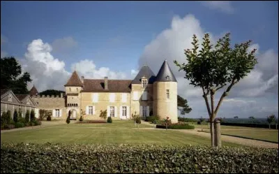 Le Ch&acirc;teau-d'Yquem est la r&eacute;f&eacute;rence de ce vignoble de vin blanc doux.Lequel ?