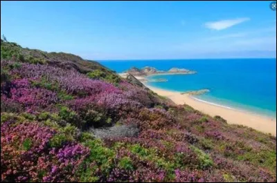 Proche de la lande de Fr&eacute;hel, quelle ville des C&ocirc;tes d'Armor est la capitale de la coquille Saint-Jacques ?