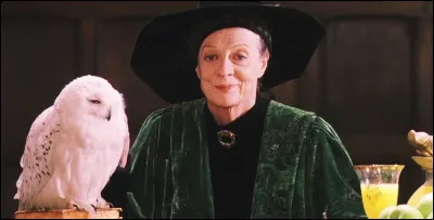 Quelle mati&egrave;re Minerva McGonagall enseigne-t-elle &agrave; Poudlard ?