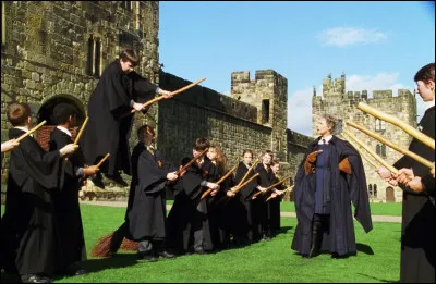 Quel est le premier balai de course que McGonagall offre en secret &agrave; Harry Potter, lors de sa premi&egrave;re ann&eacute;e ?