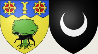 - "Bon, mais du coup, c'est lequel, notre blason ?"- "Facile : c'est celui o&ugrave; il y a [... ?...] " [Compl&eacute;tez les crochets !]