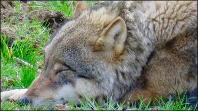 Quelle aura veux-tu que d&eacute;gage ton nom ?
