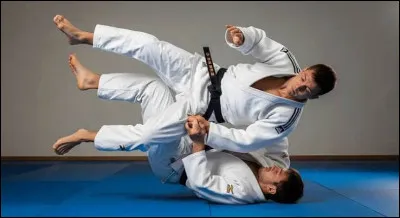 Dans quelle discipline le terme &laquo; randori &raquo; d&eacute;signe-t-il un exercice libre d'opposition ?