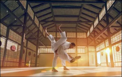 Dans cette discipline olympique, obtenir un ippon met imm&eacute;diatement fin au combat.