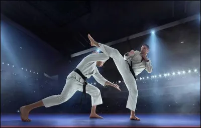 Lequel de ces deux arts martiaux a &eacute;t&eacute; fond&eacute; par Jigoro Kano ?