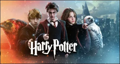 Qui a adopt&eacute; Harry Potter ?