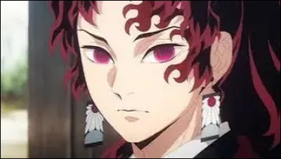 Tu reconnais-tu &agrave; travers Yoriichi ?