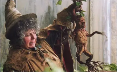 Qui enseigne la botanique &agrave; Poudlard et est &eacute;galement la directrice de la maison Poufsouffle ?