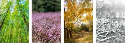 Quelle saison pr&eacute;f&egrave;res-tu ?