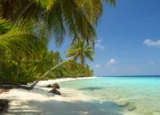 Quiz Les caraïbes