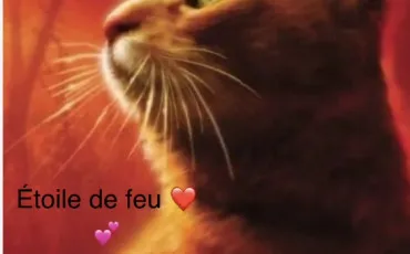 Quiz Test de personnalité
