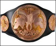 Qui a battu Drew McIntyre & Cody Rhodes pour le championnat de la WWE par quipe ?